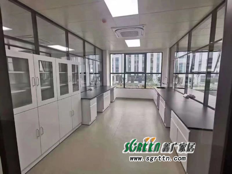 濰坊藥品柜，濰坊實(shí)驗(yàn)室藥品柜，濰坊實(shí)驗(yàn)室器皿柜廠家