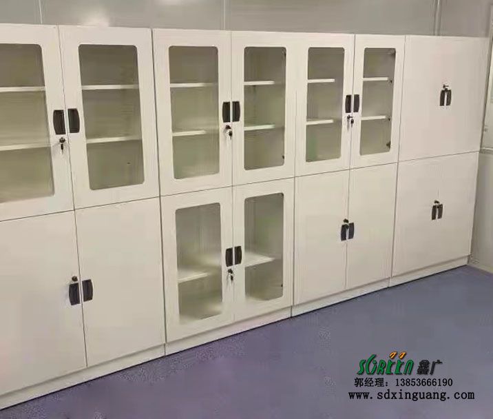 濰坊全鋼藥品柜 實(shí)驗(yàn)室試劑柜 耐腐蝕器皿柜定制