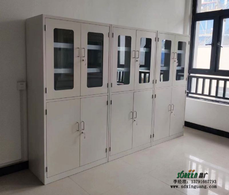 山東實(shí)驗(yàn)室全鋼藥品柜 藥品柜 試劑柜 實(shí)驗(yàn)室家具設(shè)備