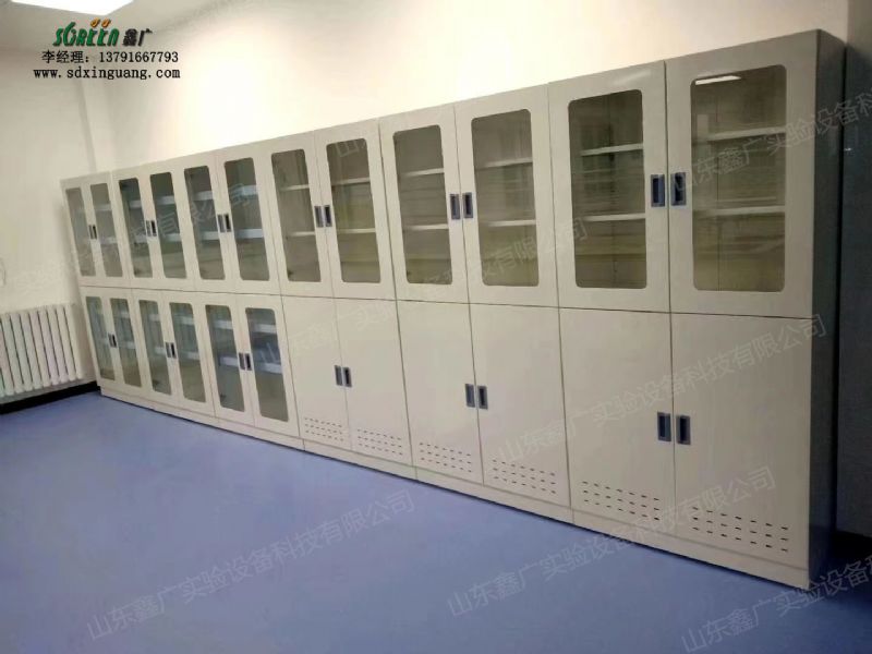 山東濟(jì)南實(shí)驗(yàn)室全鋼藥品柜 化學(xué)試劑柜 耐腐蝕儀器柜